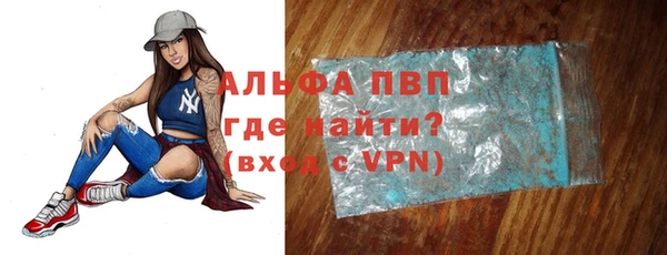 хмурый Аркадак