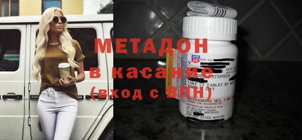 хмурый Аркадак