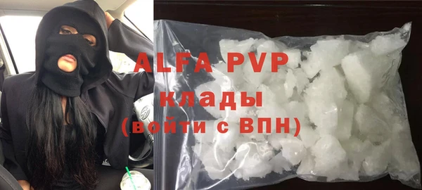 хмурый Аркадак