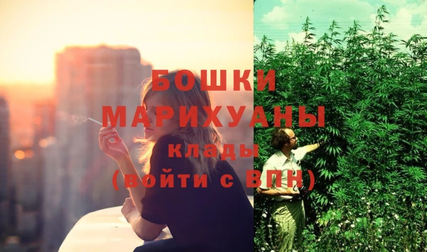 хмурый Аркадак