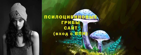 хмурый Аркадак
