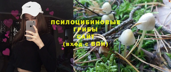 spice Армянск