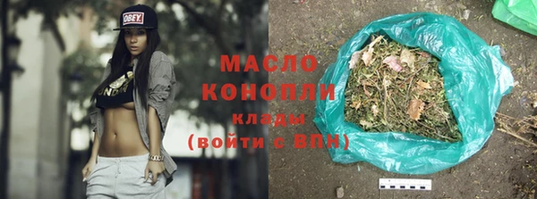 хмурый Аркадак