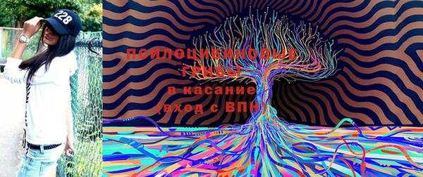 гашиш Арсеньев