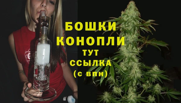 хмурый Аркадак