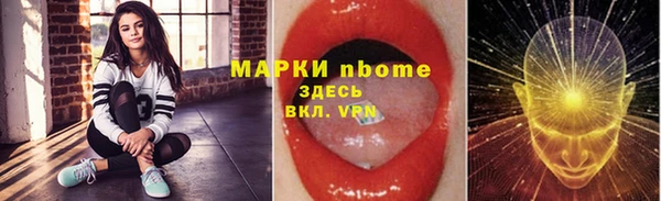 хмурый Аркадак