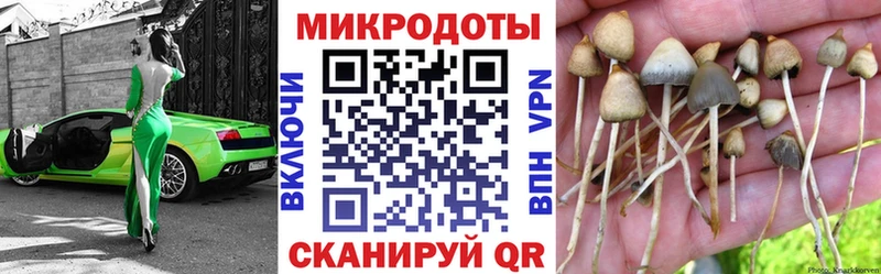 Галлюциногенные грибы Cubensis Купить закладки Высоцк
